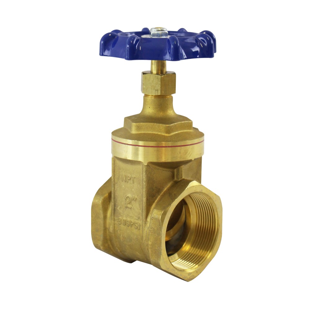 LLAVE DE COMPUERTA 2 1/2" 300 PSI 3221N 10