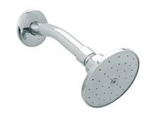 REGADERA REDONDA CON BRAZO Y CHAPETA 4504B DICA