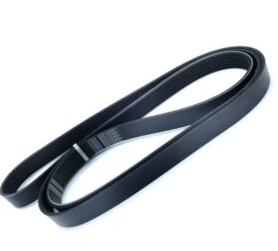 FAJA LISA FIRST SUPER 114