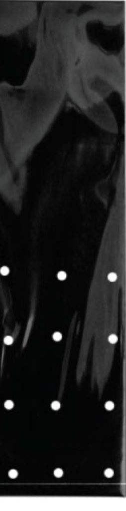 BOLSA PARA ALMACIGOS DE 4X8 PULGADA NEGRO CON PERFORACION