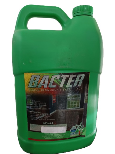 [SILVESTRE] GALON BACTER SILVESTRE